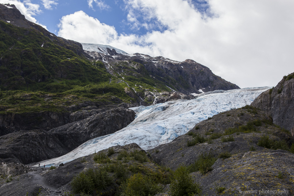Exit Glacier, Kenai Peninsula, Alaska