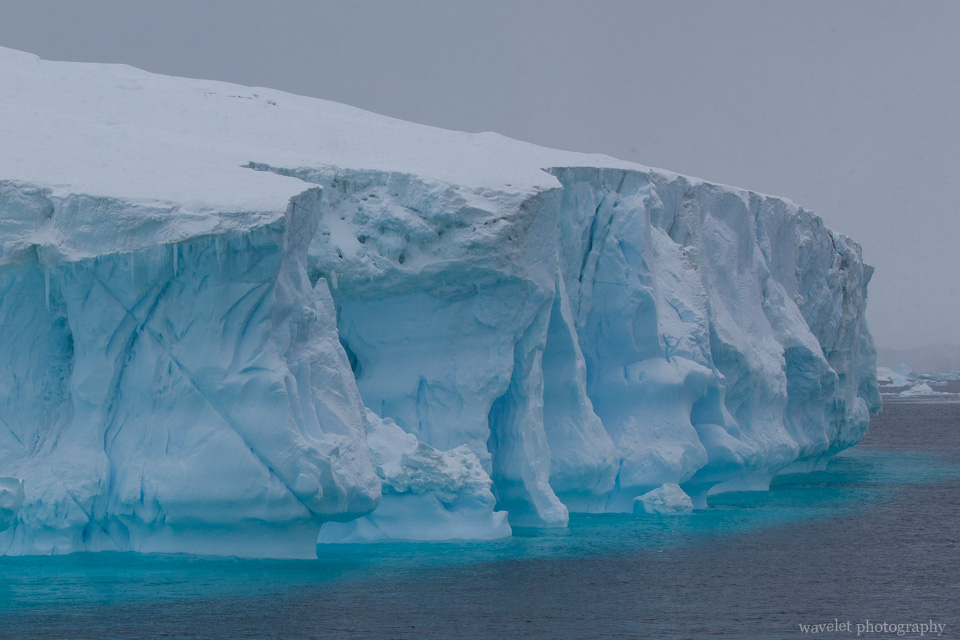 Icebergs, the Antarctic Sound