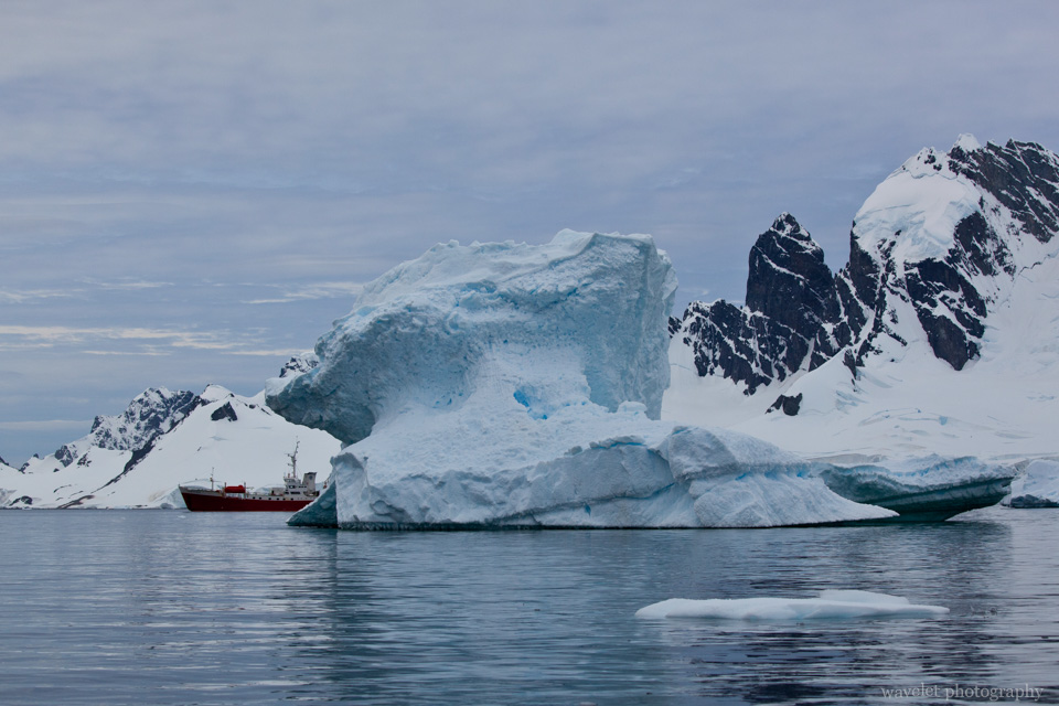 Icebergs, Cuverville Island