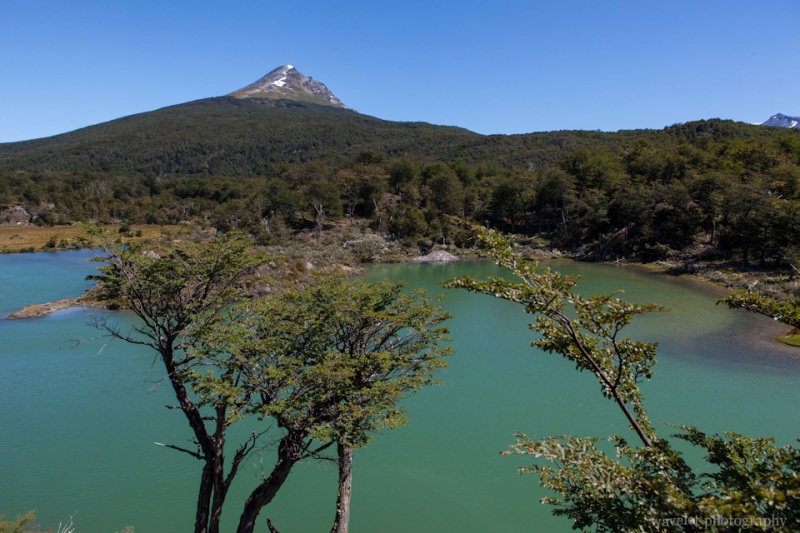 Green Lagoon, Tierra del Fuego N. P.