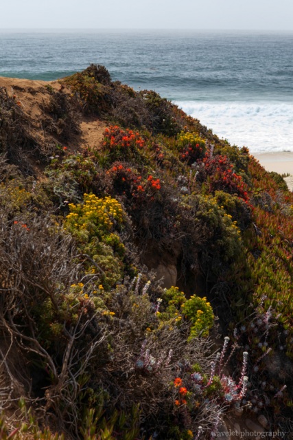 Garrapata Beach, Big Sur, CA
