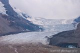 Columbia Icefield, Jasper