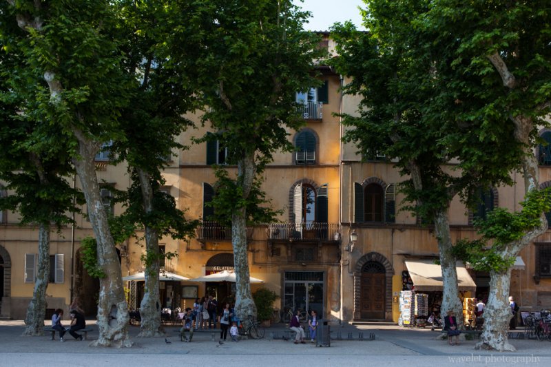 Piazza Napoleone, Lucca