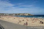 Bondi Beach