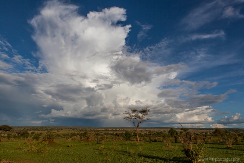 Cloud in Tarangire National Park