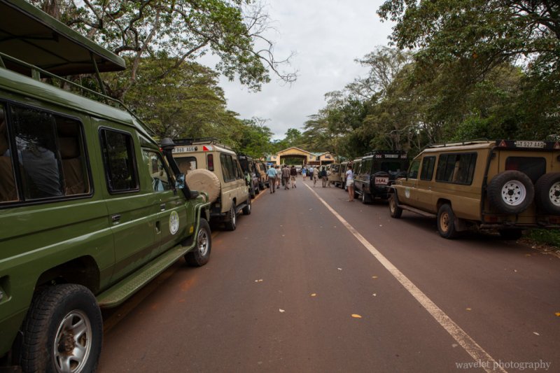 Safari jeeps waiting to enter Ngorongoro.Conservation Area.