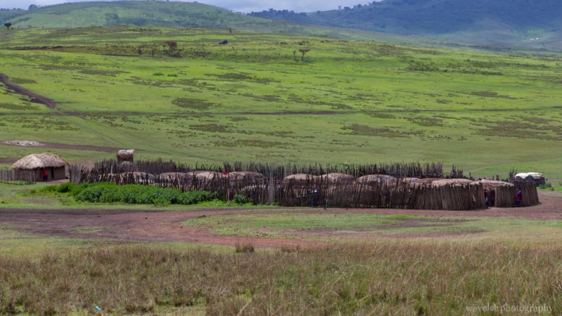 A Maasai village for tourist near Ngorongoro Conservation Area.