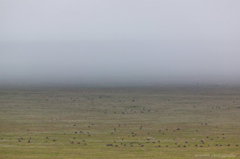 Storm is approaching Naabi Hill, Serengeti National Park