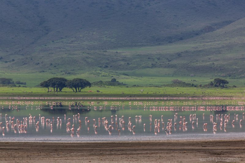 Lake Makat in Ngorongoro Crater