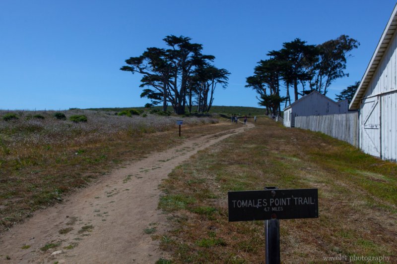 Tomales Point Trailhead, Point Reyes