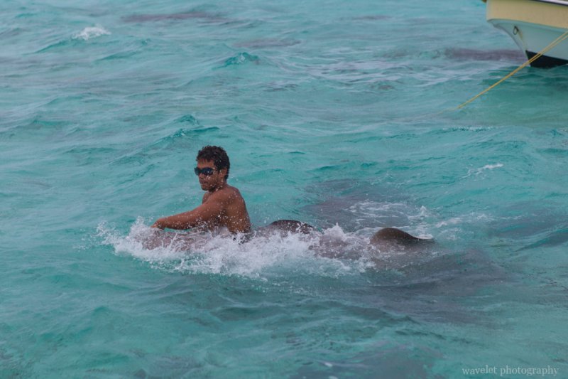 Shark and Ray feeding tour, Bora Bora