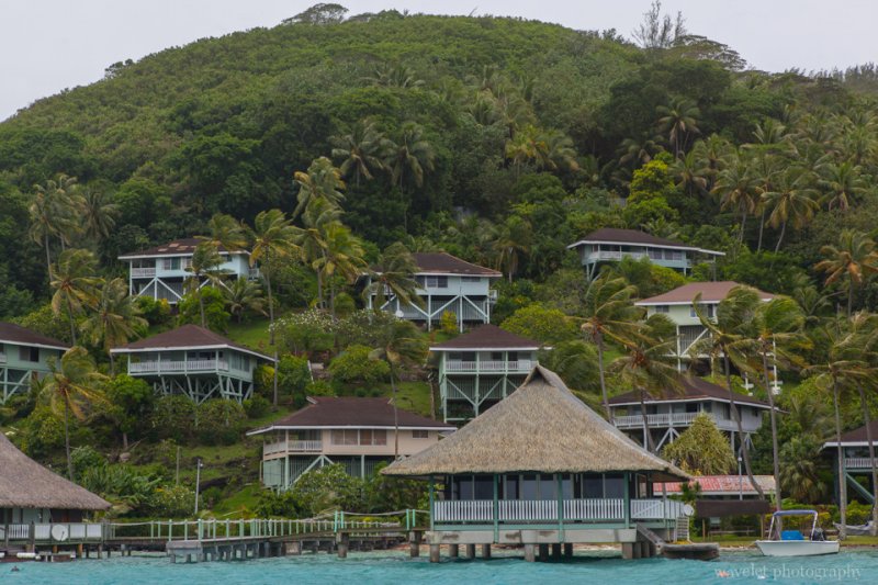 Old hotels on Bora Bora's main island, Shark and Ray feeding tour, Bora Bora