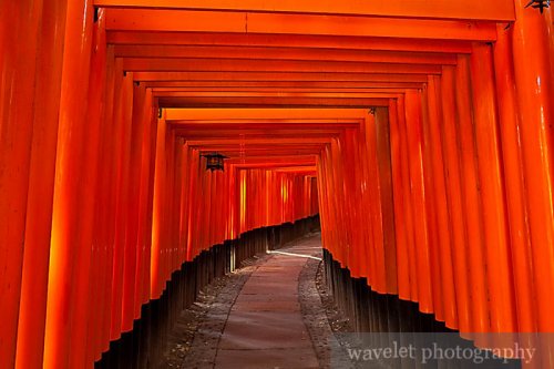 Fushimi Inari Shrine (伏見稲荷大社)