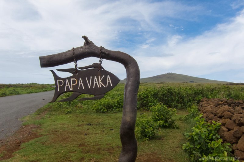 Papa Vaka, a premiere site of  ancient rock artrock art, Easter Island