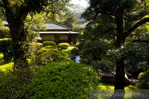 A Japanese Garden in Hakone-Yumoto (箱根湯本)