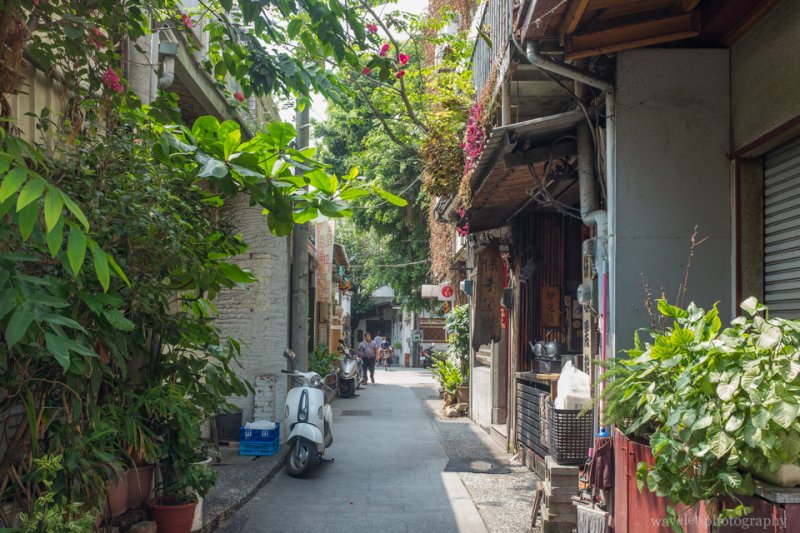 莿桐花巷，台南