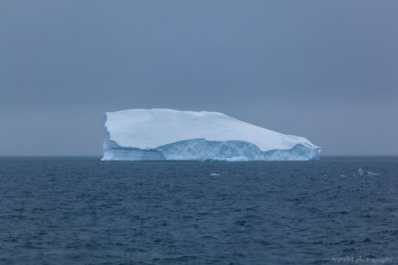 Iceberge at Antarctic Sound