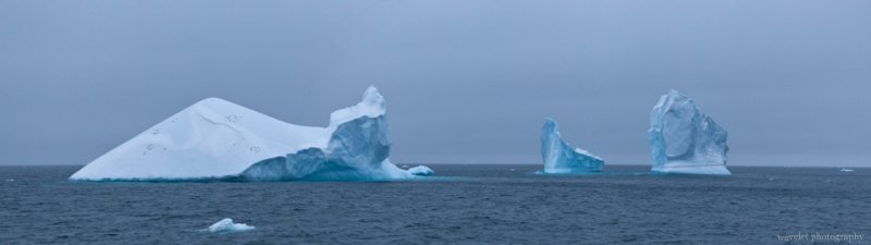 Iceberge at Antarctic Sound
