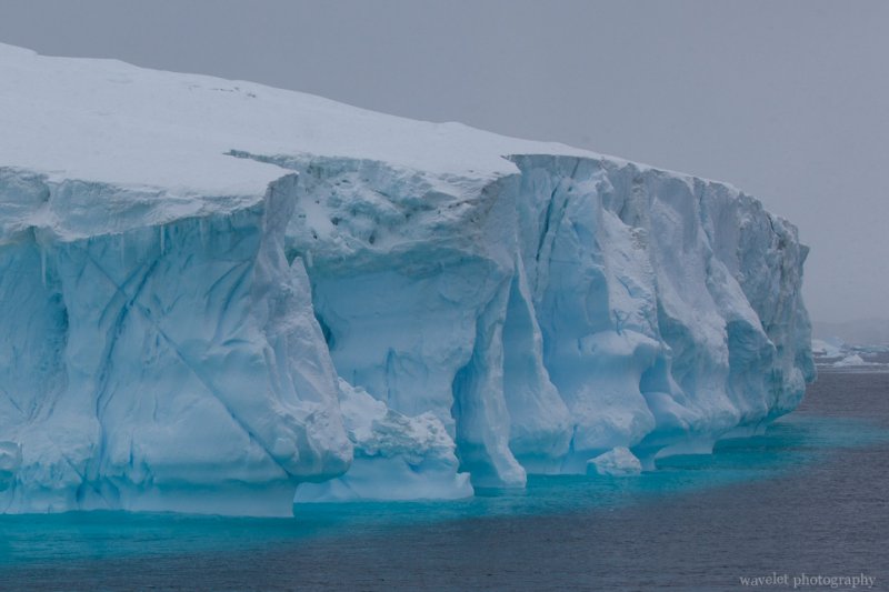 Icebergs, the Antarctic Sound