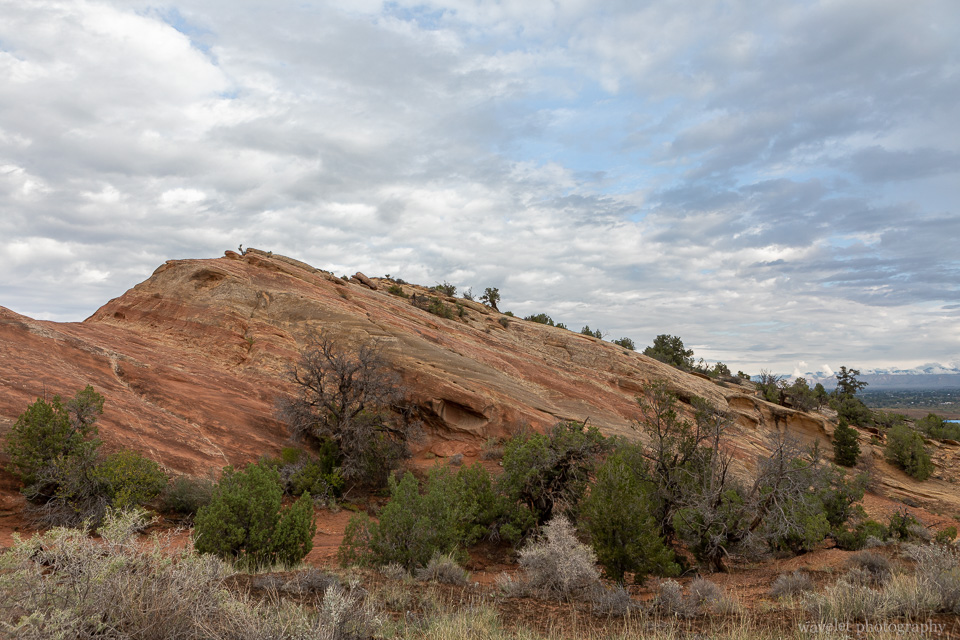 Lower Monument Canyon Trail