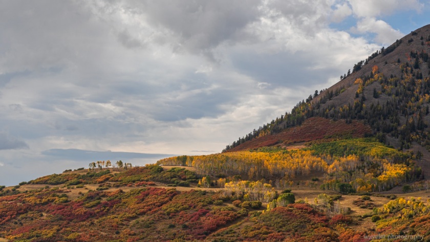 Last Dollar Road, Telluride