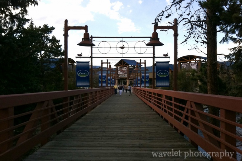 Silverthorne outlets