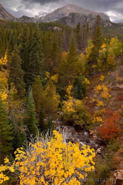 Bear Lake Rd., Rocky Mountain National Park