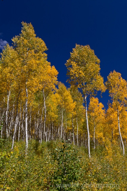 Maroon Bells