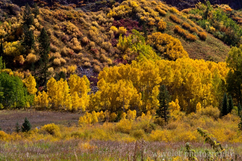 Maroon Bells