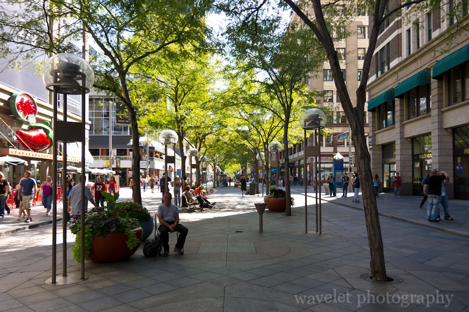 Tree-Lined Street, 16th Street Mall