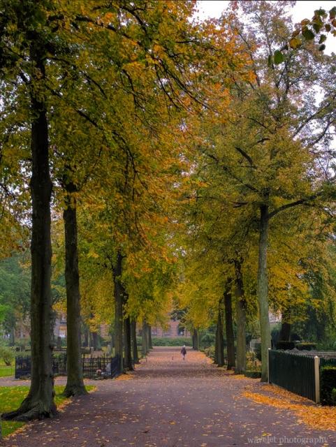 Old cemetery (Gamla kyrkogården), Malmö
