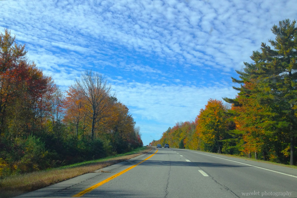 Fall color on I-95, Maine