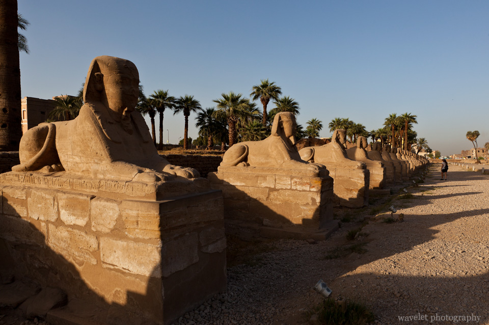 Avenue of Sphinxes, Luxor Temple