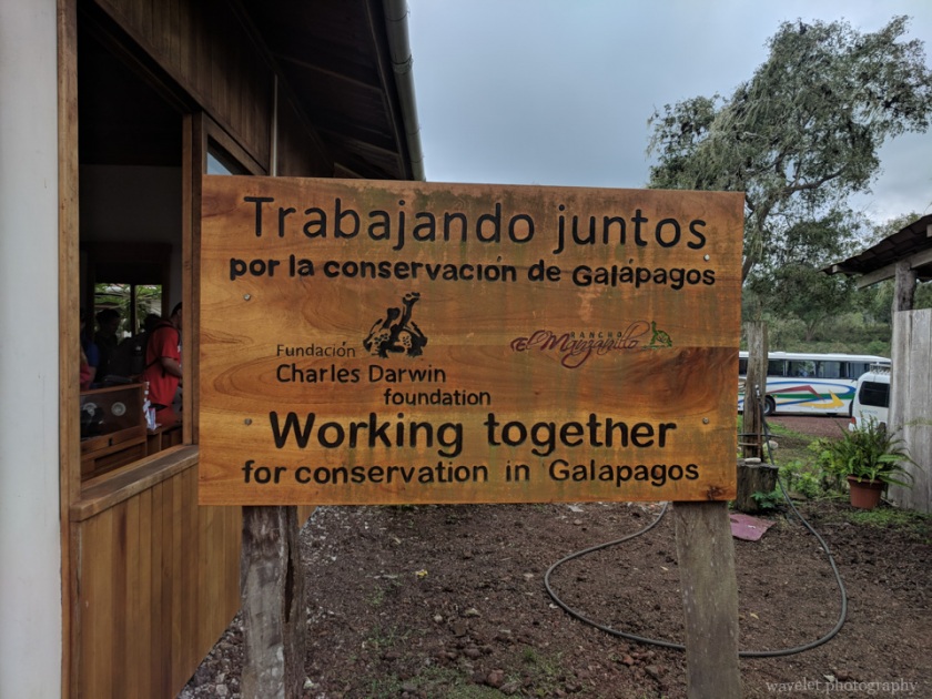 Rancho El Manzanillo, Santa Cruz Island