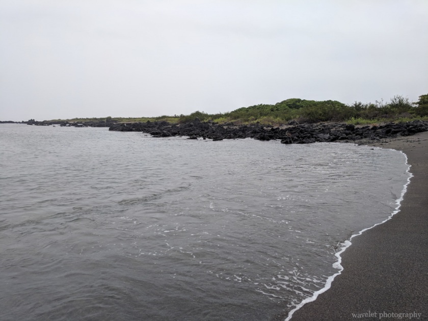 Bahía Urbina, Isabela Island