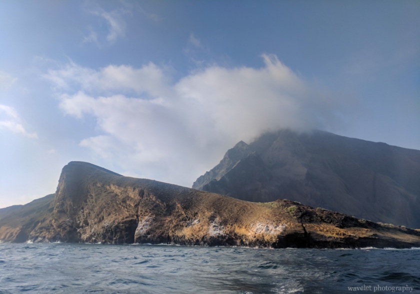 Punta Vicente Roca, Isabela Island