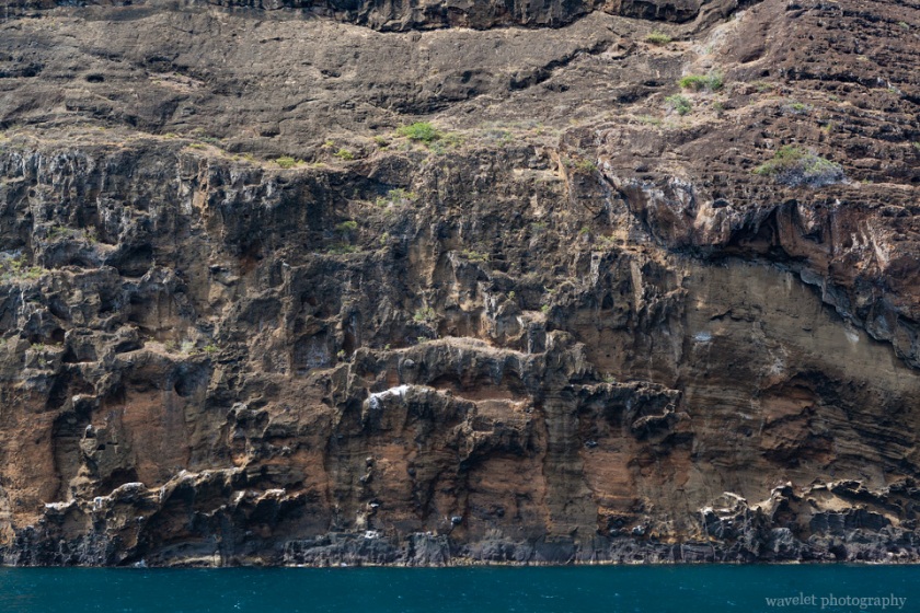 Near Cabo Cowan, Santiago Island