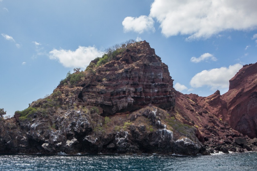 Isla Albany, Santiago Island