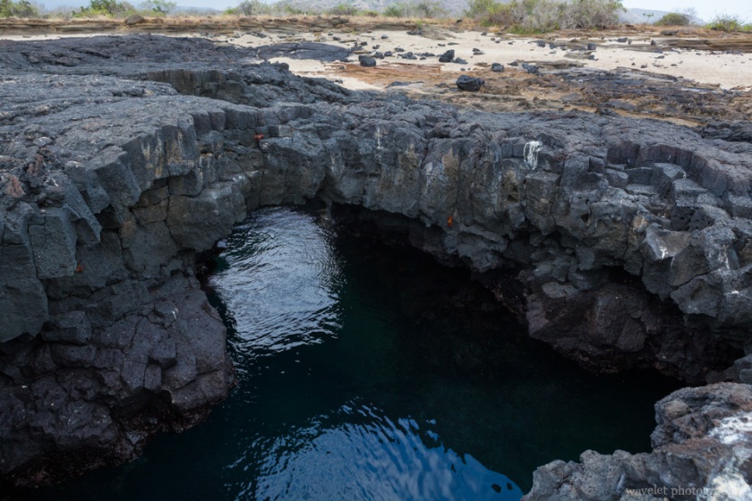 Puerto Egas, Santiago Island