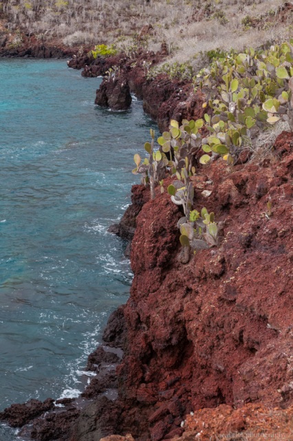 Rábida Island