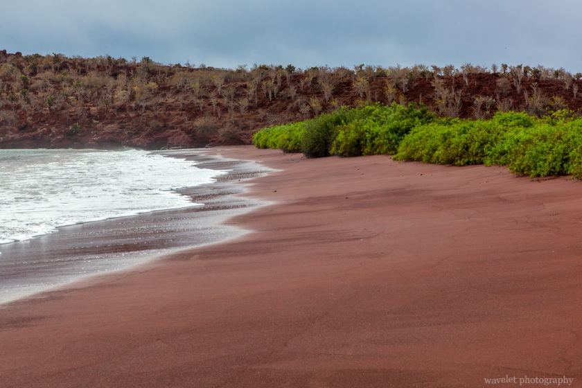 Rábida Island