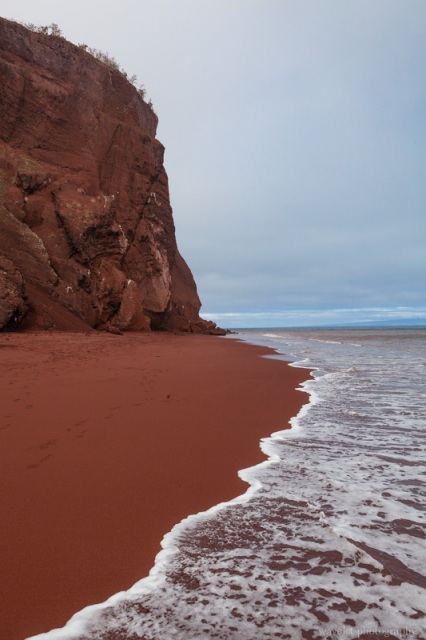 Rábida Island