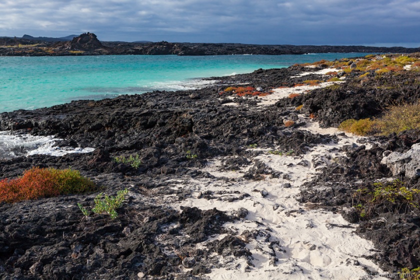 Sombrero Chino, Santiago Island