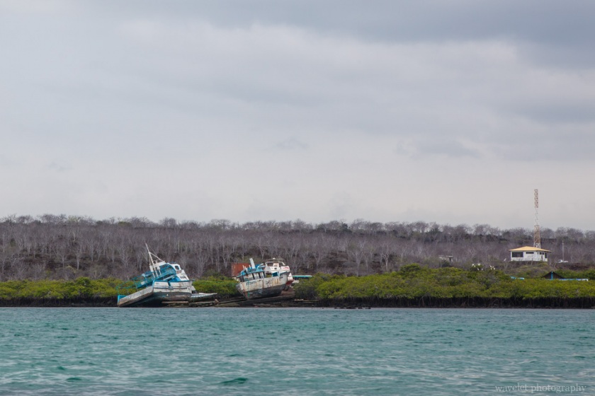 Itabaca Channel between Baltra and Santa Cruz Island