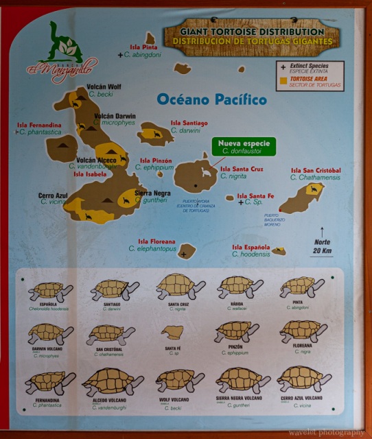 Rancho El Manzanillo, Santa Cruz Island