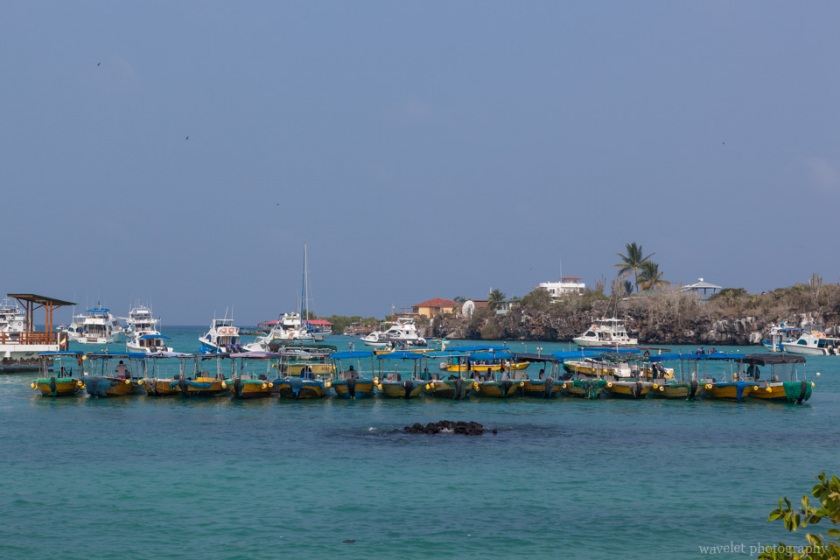 Puerto Ayora, Santa Cruz Island