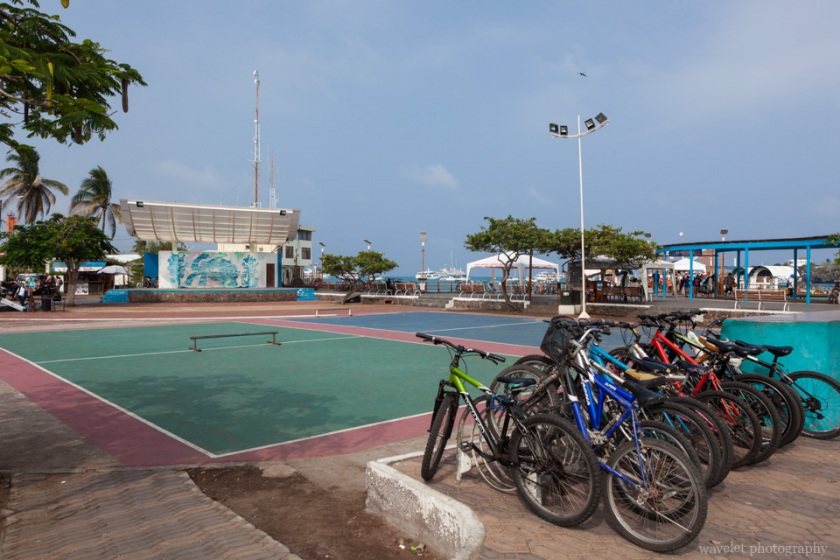 Puerto Ayora, Santa Cruz Island
