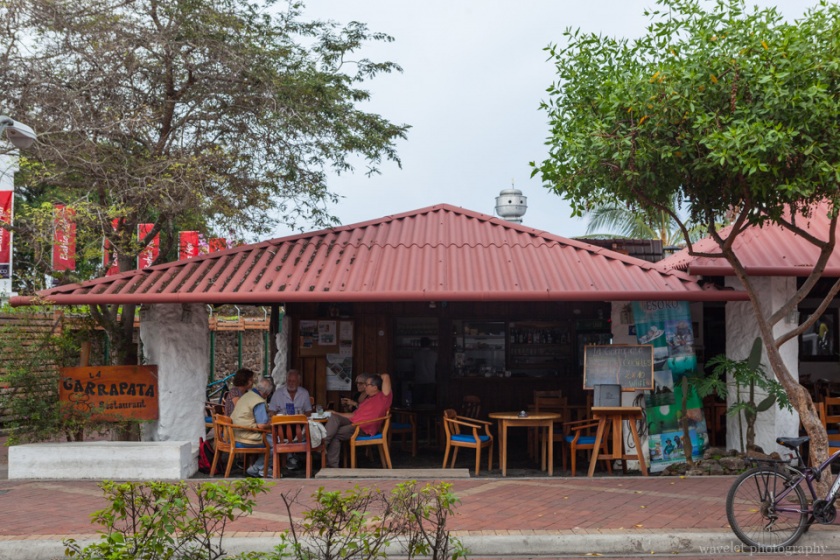 Puerto Ayora, Santa Cruz Island