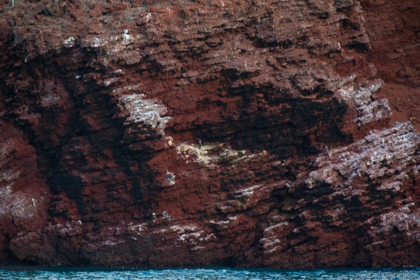 Rábida Island