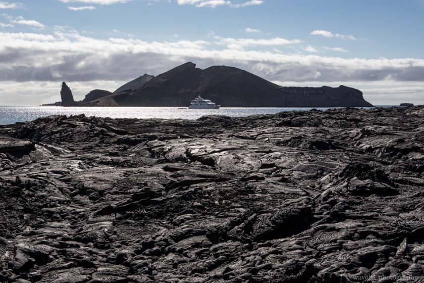 Bahía Sullivan, Santiago Island